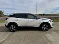 Peugeot 3008 1.5BlueHDi GT S&S 130 Weiß - thumbnail 5