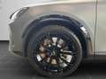 CUPRA Formentor VZ Extreme 2.0 TSI ABT Umbau Navi AHK Grau - thumbnail 8