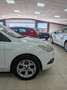 Ford Focus 1.6TDCi Titanium Rojo - thumbnail 5