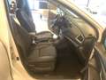 Suzuki S-Cross S-Cross 1.4 Hybrid 4WD AllGrip Top+ Bianco - thumbnail 6