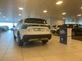 Suzuki S-Cross S-Cross 1.4 Hybrid 4WD AllGrip Top+ Bianco - thumbnail 4