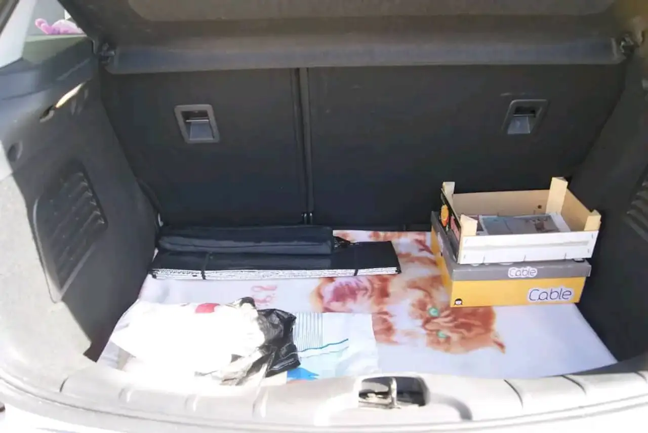 Citroen C3 C3 — photo 3