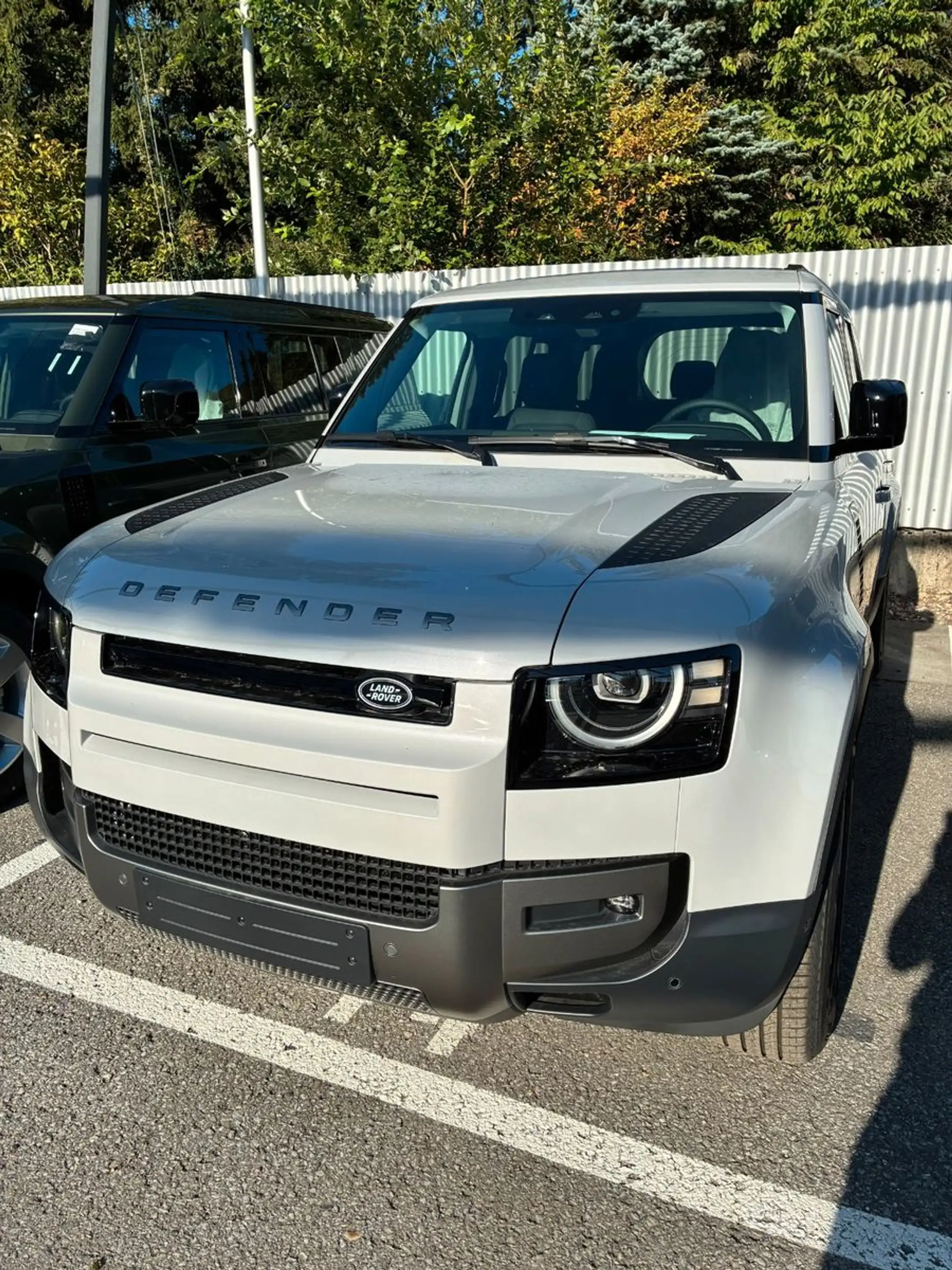 Land Rover Defender 110 S/grau-sw/AHK/Luftfederung/20