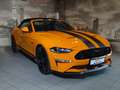 Ford Mustang 5.0 GT V8 Cabrio 55 Years Edition Oranje - thumbnail 4
