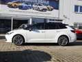 Toyota Corolla TS Hybrid 1.8 Black and White Weiß - thumbnail 3