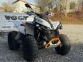 Can-Am Renegade Can-Am Renegade 1000 XXC – Sport ATV 80 PS T3b Grau - thumbnail 5