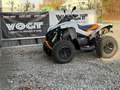 Can-Am Renegade Can-Am Renegade 1000 XXC – Sport ATV 80 PS T3b Grau - thumbnail 19