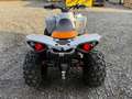 Can-Am Renegade Can-Am Renegade 1000 XXC – Sport ATV 80 PS T3b Grau - thumbnail 30