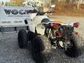 Can-Am Renegade Can-Am Renegade 1000 XXC – Sport ATV 80 PS T3b Grau - thumbnail 16