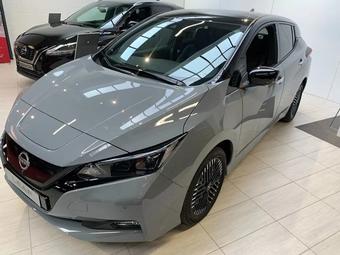 Nissan Leaf - 1