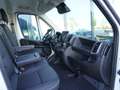 Fiat Ducato 35 L3H2 140 AT /10-Zoll-Navi /Schwingsitz Weiß - thumbnail 9