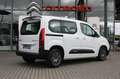 Citroen Berlingo Berlingo M PureTech 110 Plus**SHZ, Kamera, DAB Wit - thumbnail 4