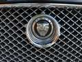 Jaguar XF XF 3.0 V6 Luxury Aut. Luxury Negro - thumbnail 7