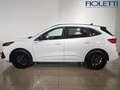 Ford Kuga 3ª SERIE 2.5 FULL HYBRID 190 CV CVT AWD ST-LINE X Blanco - thumbnail 4