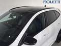Ford Kuga 3ª SERIE 2.5 FULL HYBRID 190 CV CVT AWD ST-LINE X Blanco - thumbnail 16