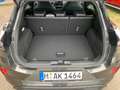 Ford Puma ST X 1.5 EcoBoost *PDC*SHZ*RFK*B&O*LED*FLA Grau - thumbnail 19