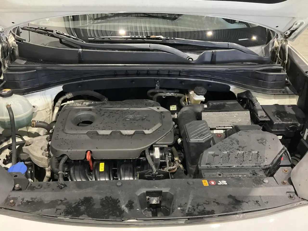 Kia Sportage снимка Kia Sportage