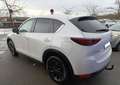 Mazda CX-5 II Skyactiv-D 2.2 TD 150 cv DYNAMIQUE Weiß - thumbnail 5
