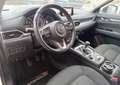 Mazda CX-5 II Skyactiv-D 2.2 TD 150 cv DYNAMIQUE Weiß - thumbnail 22