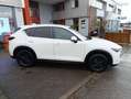 Mazda CX-5 II Skyactiv-D 2.2 TD 150 cv DYNAMIQUE Weiß - thumbnail 8