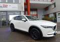 Mazda CX-5 II Skyactiv-D 2.2 TD 150 cv DYNAMIQUE Weiß - thumbnail 1