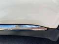 Dodge Durango Citadel 3.6 4x4 Alb - thumbnail 15