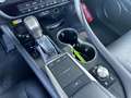 Lexus RX 450h Executive Line & Pano Gris - thumbnail 23