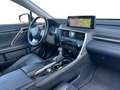 Lexus RX 450h Executive Line & Pano Gris - thumbnail 18