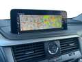 Lexus RX 450h Executive Line & Pano Gris - thumbnail 14