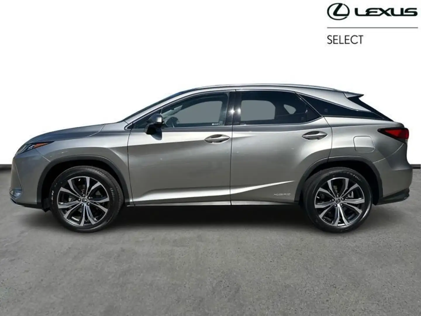 Lexus RX 450h Executive Line & Pano Gris - 2