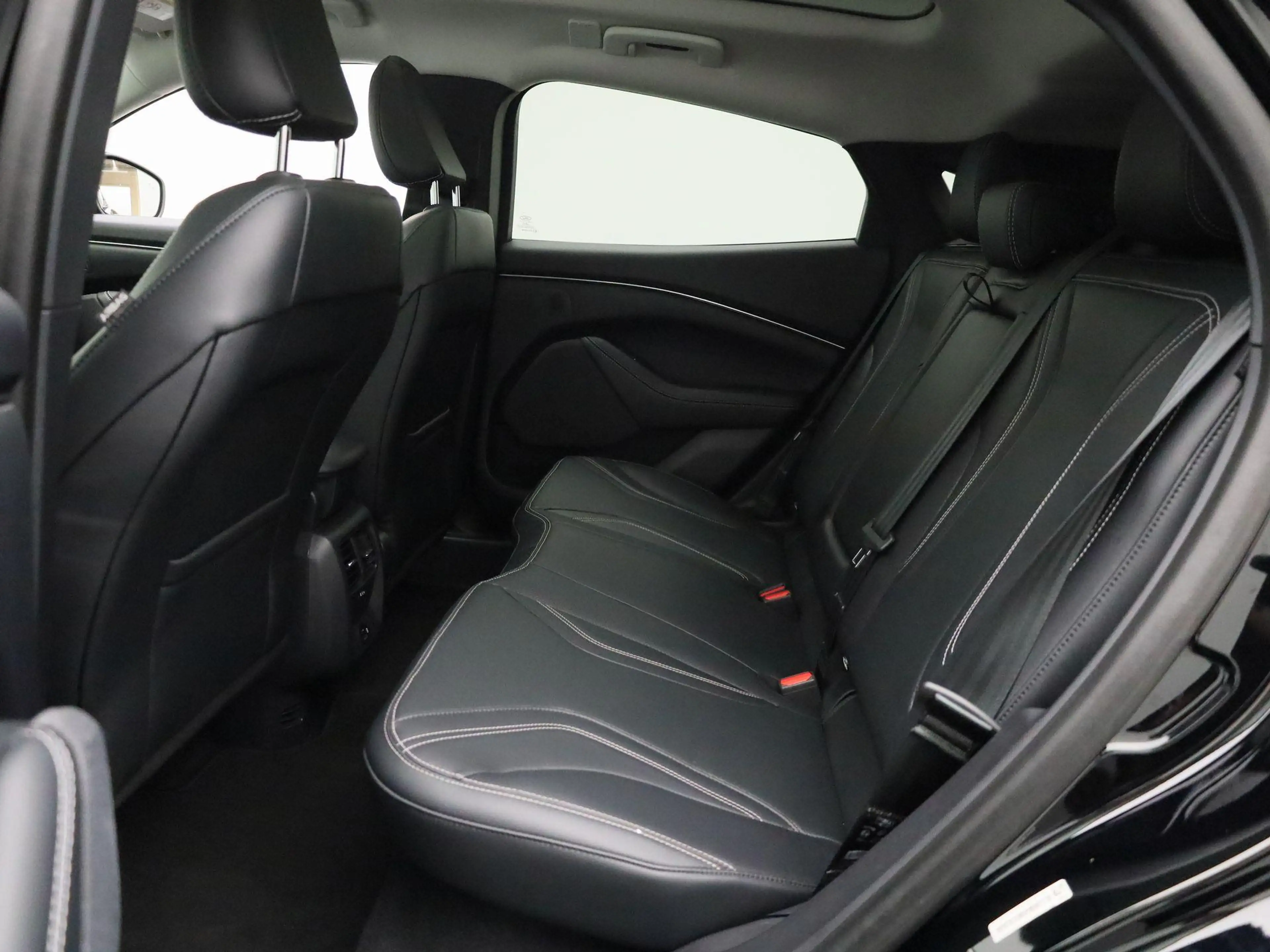 Ford Mustang Mach-E 76kWh 198kW Standard Range RWD — photo 12