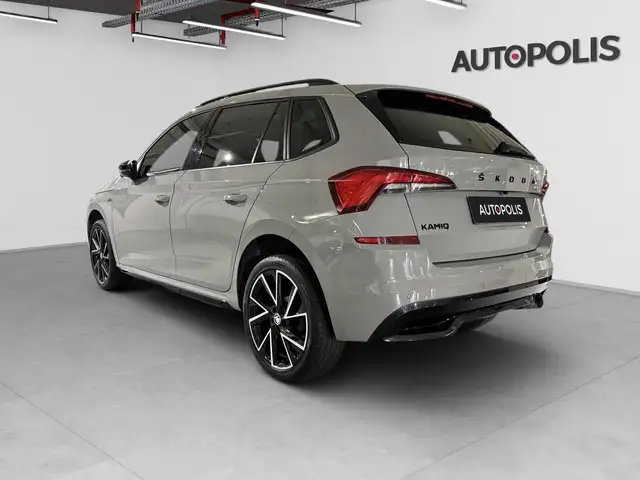 Skoda Kamiq view 14