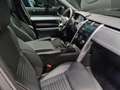 Land Rover Discovery D250 R-Dynamic SE AWD Auto. 23 Сірий - thumbnail 13