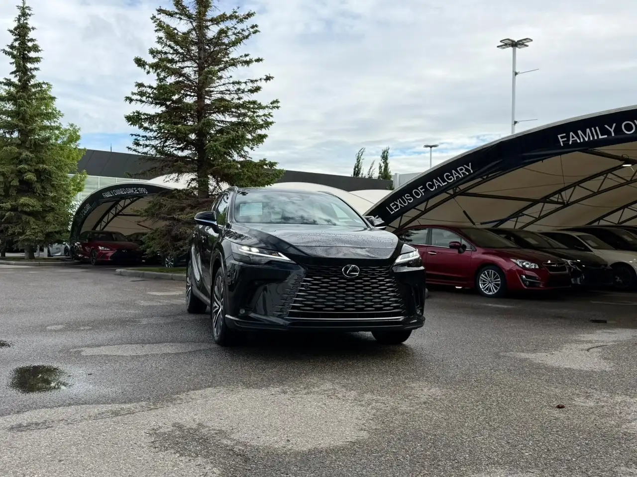 2024 Lexus RX