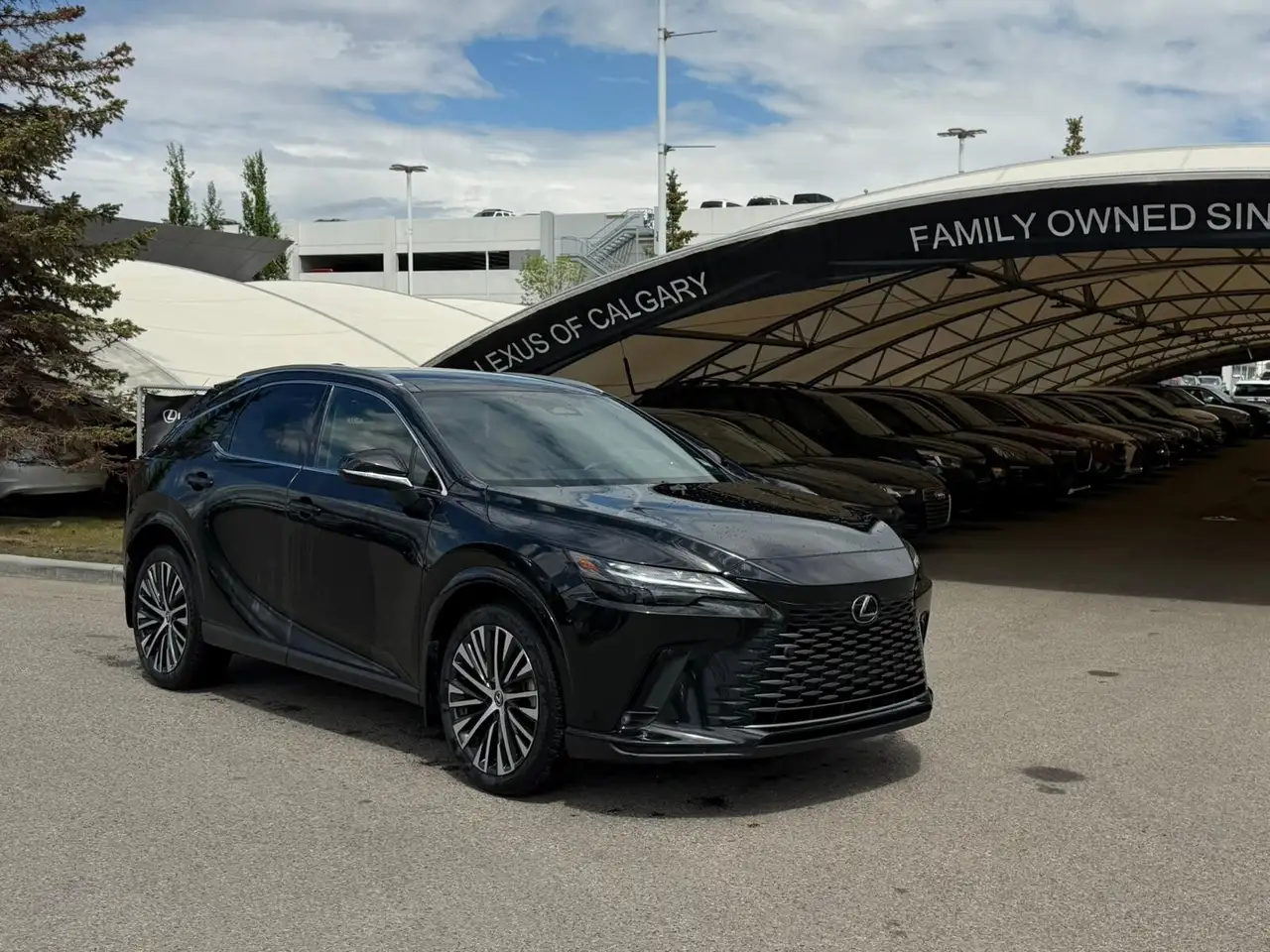 2024 Lexus RX