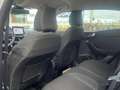 Ford Puma 1.0 EcoBoost Hybrid Titanium | Winter Pack | Cruis Grijs - thumbnail 21