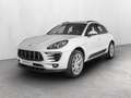 Porsche Macan 2.0 252cv pdk Bianco - thumbnail 1