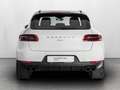 Porsche Macan 2.0 252cv pdk Bianco - thumbnail 7