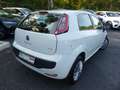 Fiat Punto Evo 1.4 8V 77CH 199 BXB11 16H BOITE AUTO ROBOTISEE - thumbnail 2