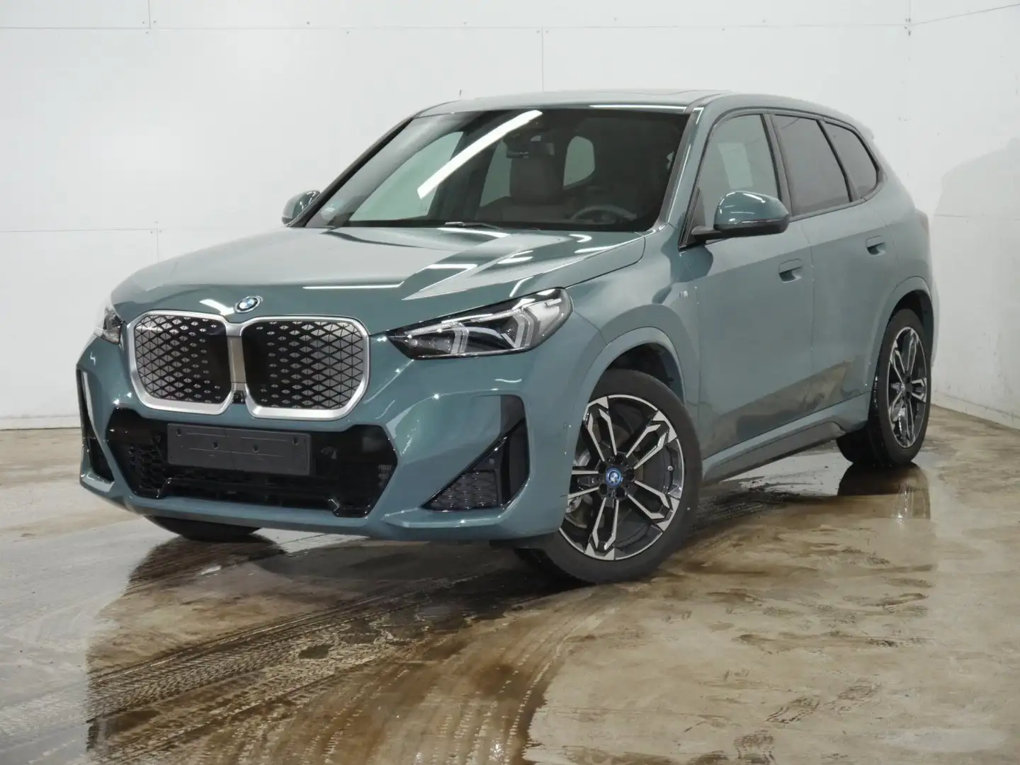 BMW iX1 xDrive30 M Sportpaket Head-Up HK HiFi Grün - 1