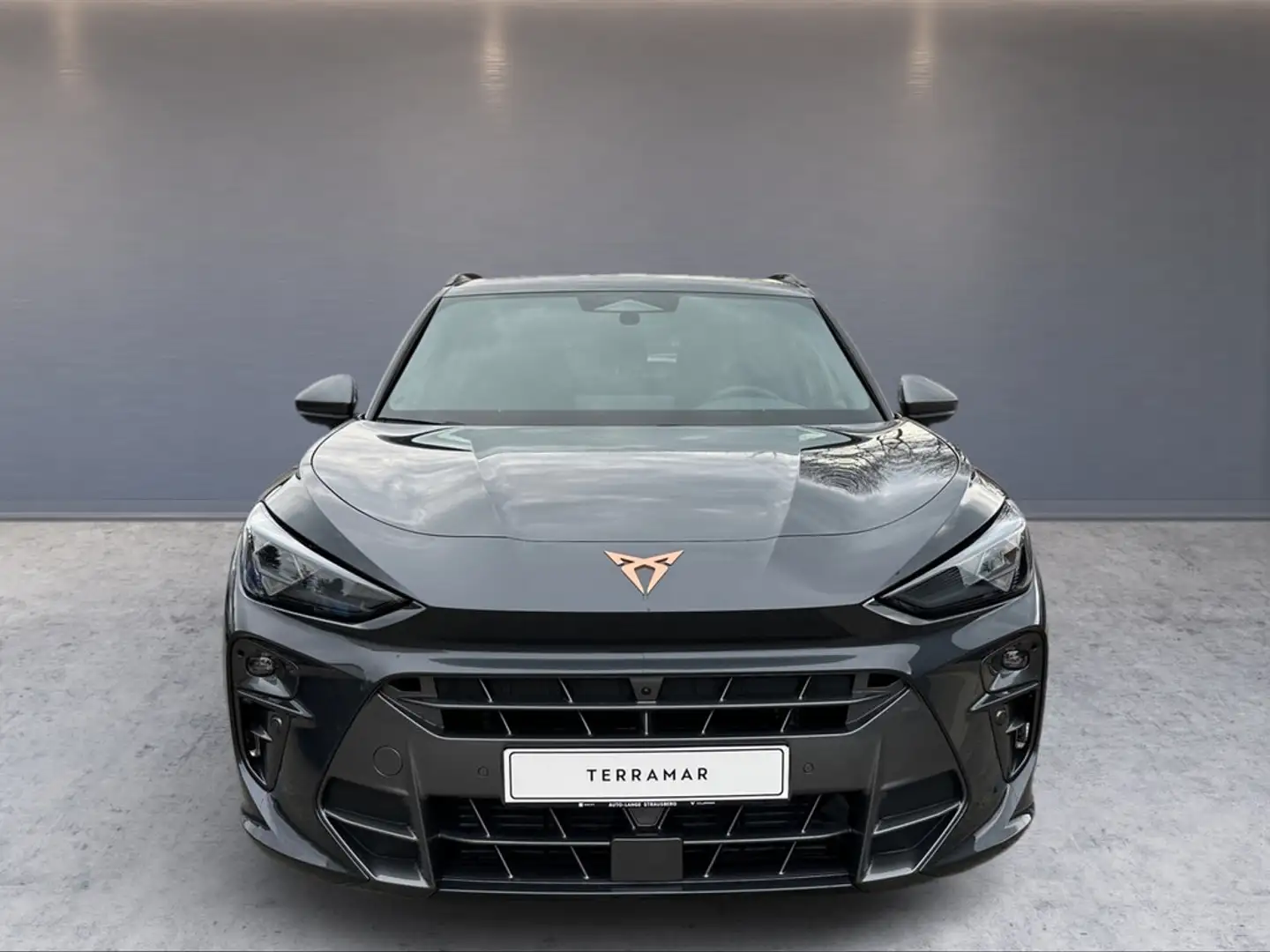 CUPRA Terramar 1.5 eTSI 150 PS HUD AHK 360° SENNH Grau - 2