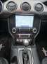 Ford Mustang 5.0 Ti-VCT V8 GT (EU6d) Bleu - thumbnail 16