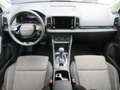 Skoda Karoq 4x4 Selection TDI DSG Grau - thumbnail 13