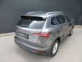 Skoda Karoq 4x4 Selection TDI DSG Grau - thumbnail 6