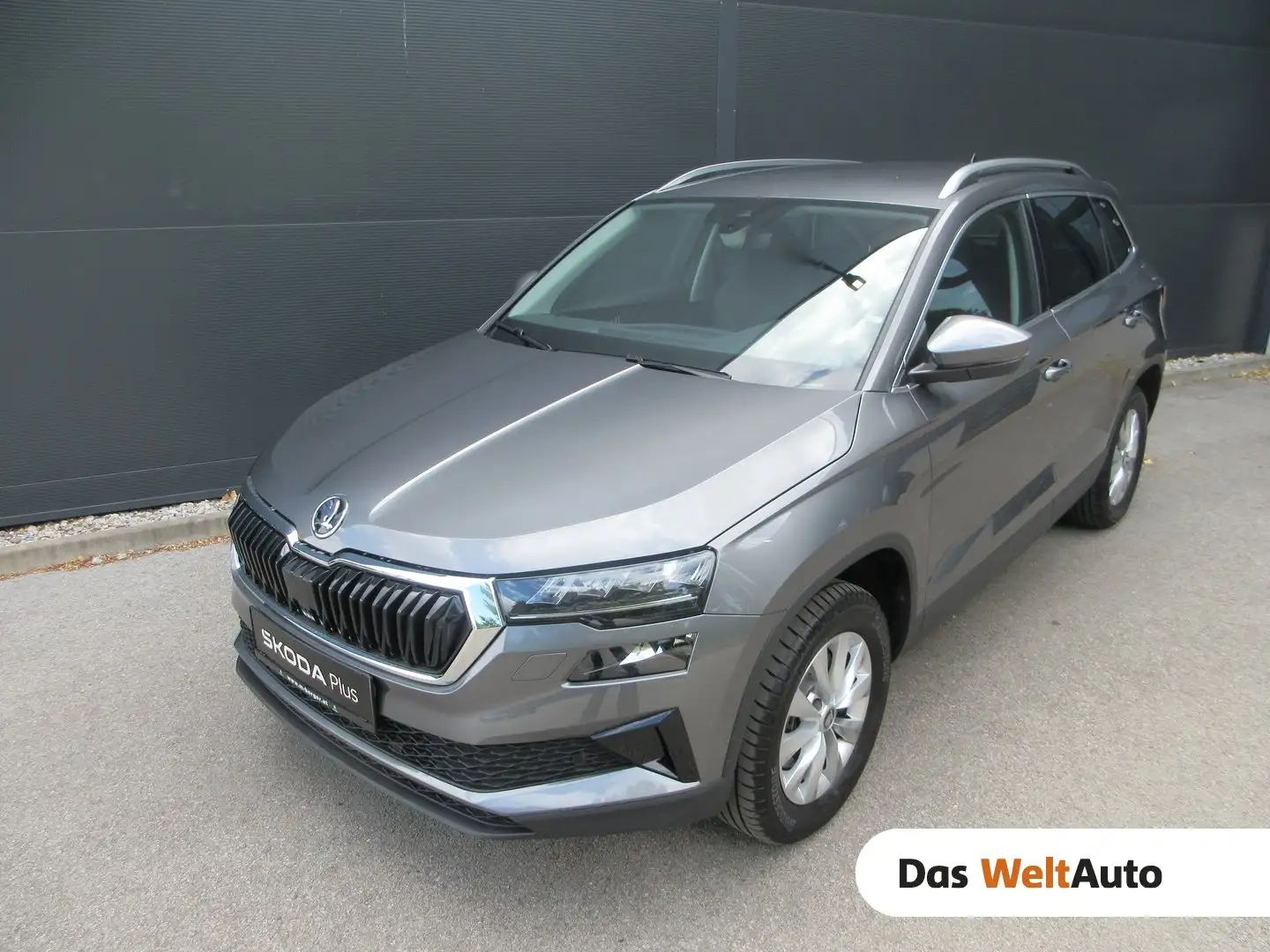 Skoda Karoq 4x4 Selection TDI DSG Grau - 1