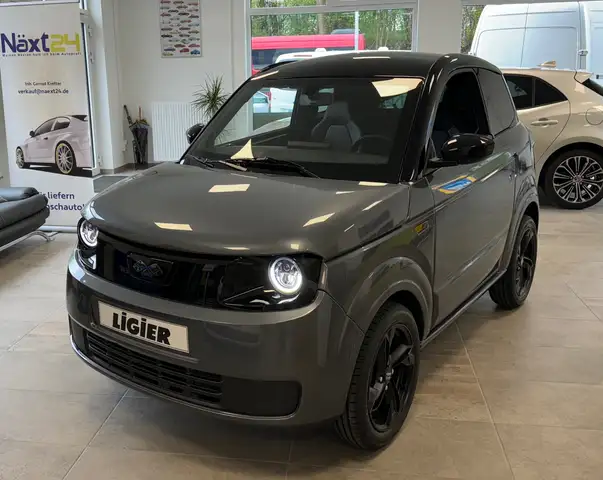 Ligier Myli Myli E.PIC/Diesel/AppleCP/Android/Kam/Lagerfzg/NEU