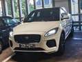 Jaguar E-Pace E-Pace D180 AWD R dynamic Weiß - thumbnail 7
