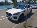 Jaguar E-Pace E-Pace D180 AWD R dynamic Weiß - thumbnail 4