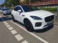 Jaguar E-Pace E-Pace D180 AWD R dynamic Weiß - thumbnail 1