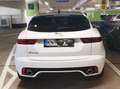 Jaguar E-Pace E-Pace D180 AWD R dynamic Weiß - thumbnail 6